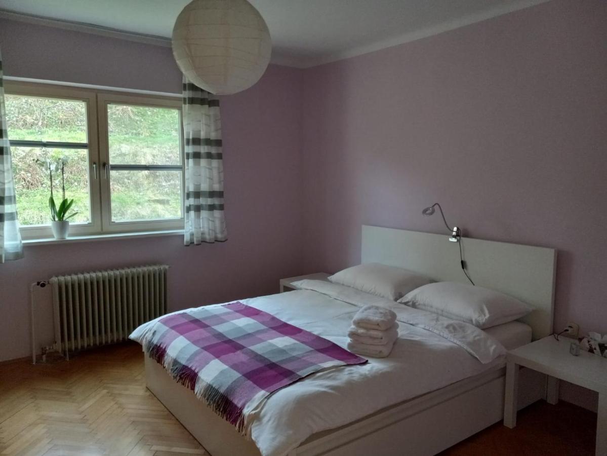 Lovely 2-Bedroom Appartment With Free Parking Dobrova Eksteriør billede